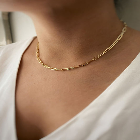 Simple Paperclip Necklace